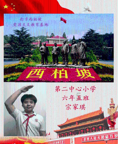 探索科技知识，加入不知道老人经常咳嗽多痰，喝什么汤比较好，老人还有点脑血栓？谢谢大家！星球平台吧！